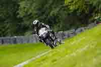 brands-hatch-photographs;brands-no-limits-trackday;cadwell-trackday-photographs;enduro-digital-images;event-digital-images;eventdigitalimages;no-limits-trackdays;peter-wileman-photography;racing-digital-images;trackday-digital-images;trackday-photos